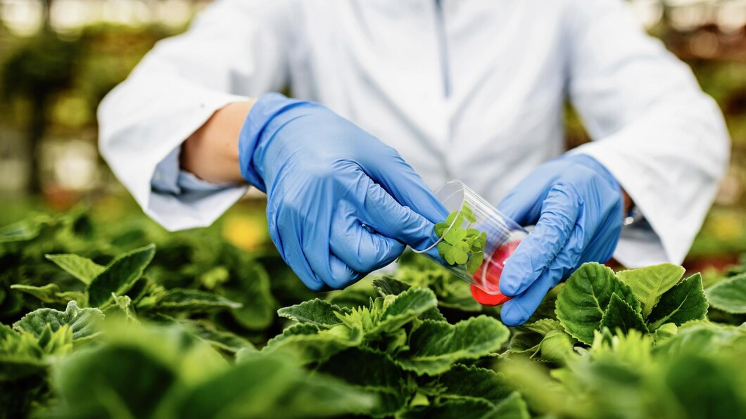 What are the key drivers of Brazil Agricultural Biologicals Market growth 2033?