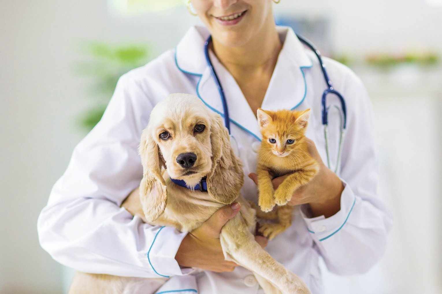 The Costs of Pet Ownership: Why Pet Insurance is Essential