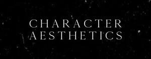 Character aesthetic