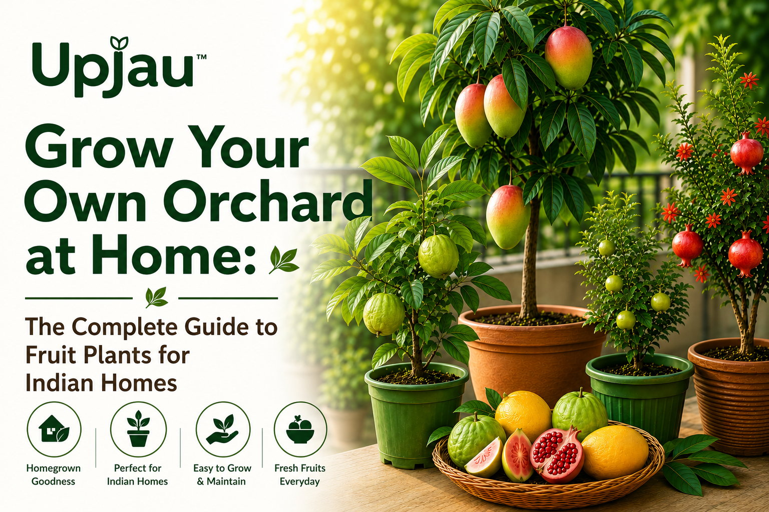 Grow Your Own Orchard at Home: The Complete Guide to Fruit Plants for Indian Homes
