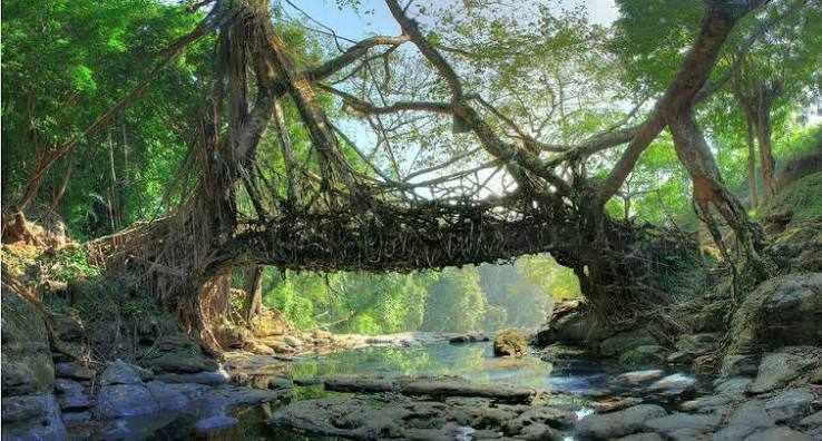 Mawlynnong; The 'Cleanest' Secret of Meghalaya -