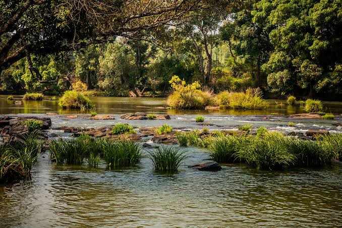 Coorg: Of coffee, wilderness and our first travel together · SandeepaChetan's Travel Blog