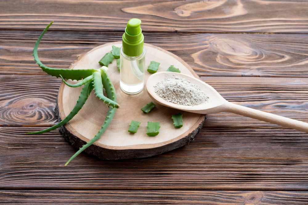 What Makes Aloe a Popular Choice for Immune Support?