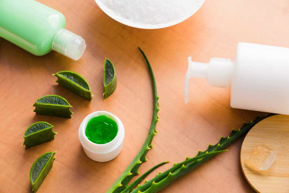 What Is an Aloe Arborescens Detox Supplement and How Does It Support the Body?
