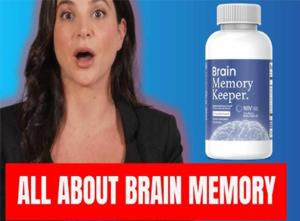 Brain Memory Keeper A Comprehensive Record of Experiences, Lessons, Achievements, and Dreams