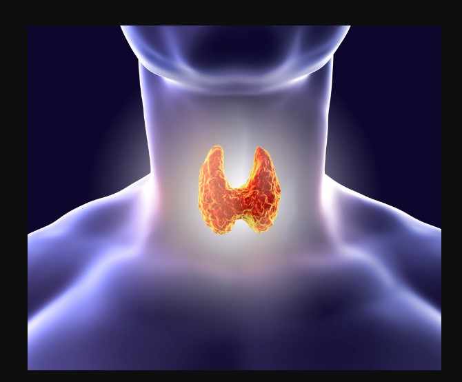How to Properly Use Desiccated Thyroid for Thyroid Health