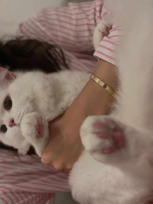 CHAPTER 25 || anti venom