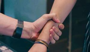 CHAPTER 15 | colourful plates