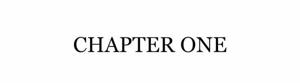 CHAPTER 1