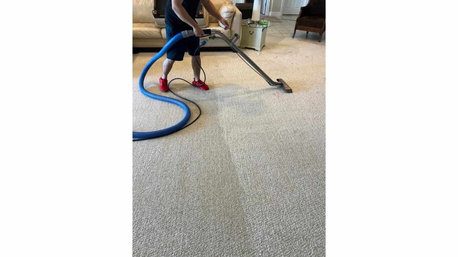 Why Are Carpet Cleaning Specials Worth Considering for Homes Near the Coast?