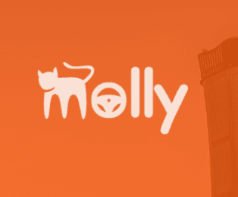 mollyrentcar
