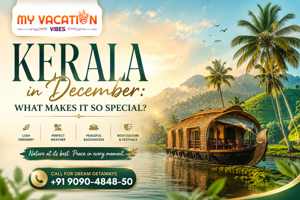 Kerala in December: What Makes It So Special?