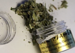 Journey to Serenity: Experience the Enchantment of Black Mamba Incense