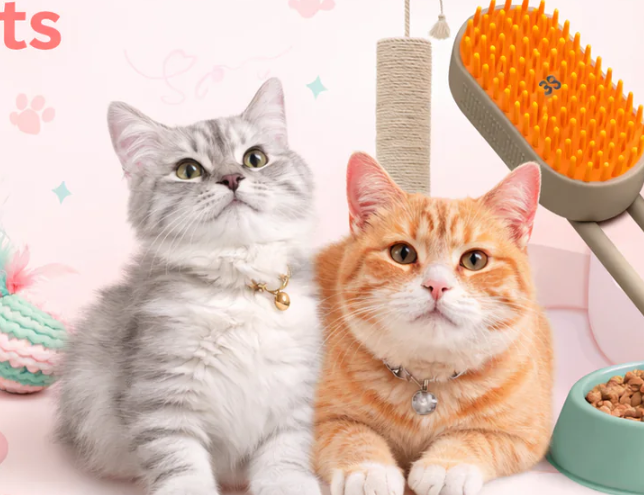 Premium Cat Grooming Products: Elevate Your Cat's Care Routine
