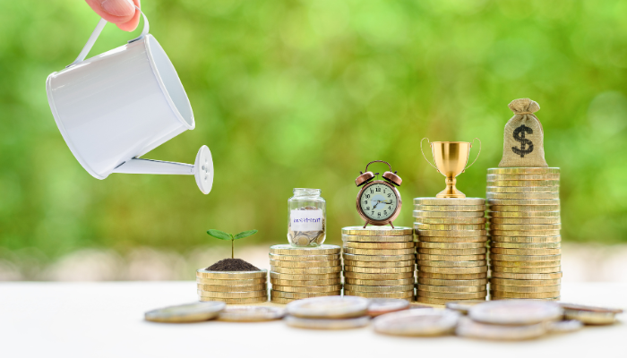 Long-Term Investments Portfolio Ideas for Balanced Wealth Growth