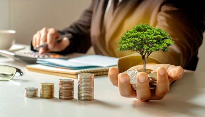 Broad Mutual Fund Guide: How to Build a Diversified Portfolio