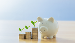 Money Market Deposit Account: Complete Beginner’s Guide