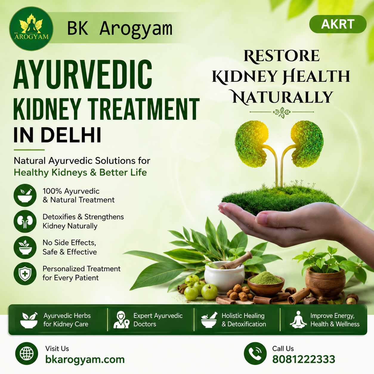 Ayurvedic Kidney Treatment Delhi Natural Care BK Arogyam & Research Pvt Ltd