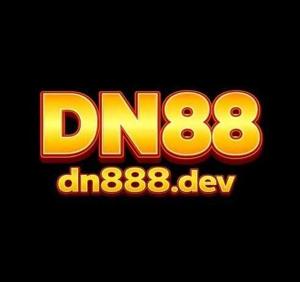 dn888dev