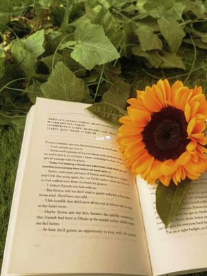 AUTHOR SUNSHINE 7777 logo