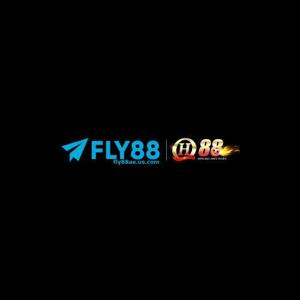 Fly88ae us com