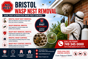 Bristol Wasp Nest Removal: Professional Wasp Control & Safe Wasp Removal Services