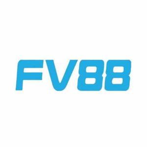 fv88store
