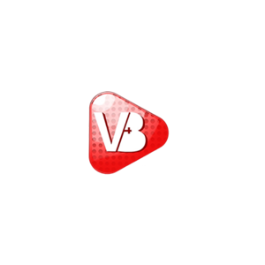 V4bstudio logo