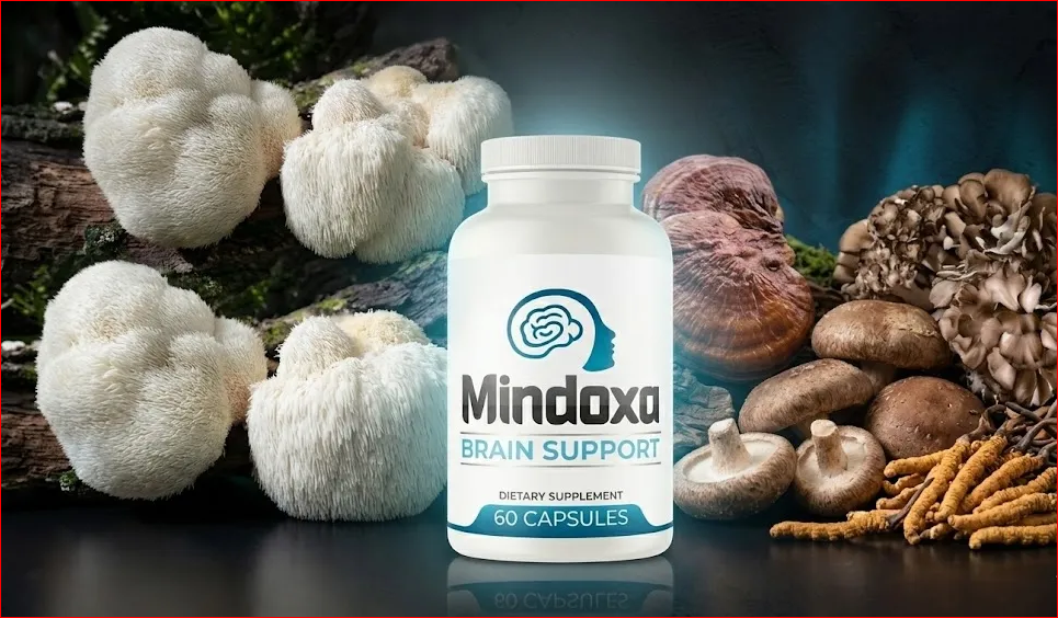 Mindoxa Supplement: Reviews What You Should Know Before Buying This Cognitive Formula