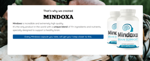 Mindoxa: Everyday Cognitive Support: What Users Should Know Before Getting Started!