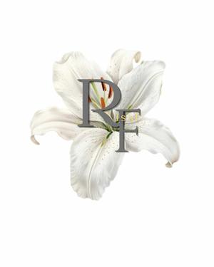 Risafwrts logo