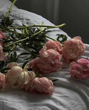 11. Pink Peonies