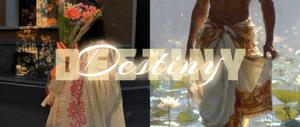 1. Destiny