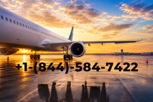 ¿Cómo hablar directamente con la representante de Delta en español? Guía 2026