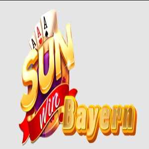 Sunwin20 Voto logo