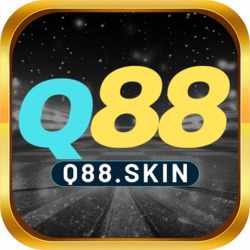 q88skin