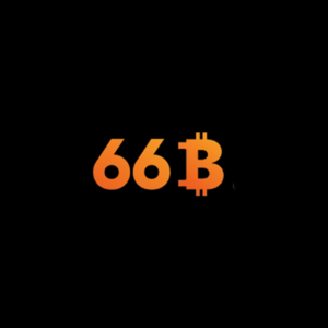 66B Llc logo