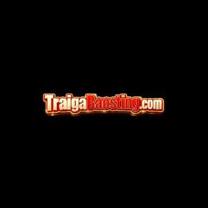Trại Gà Bảo Sting