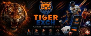 Tiger365pro Decoded: Everything You Need to Know for a Seamless Experience