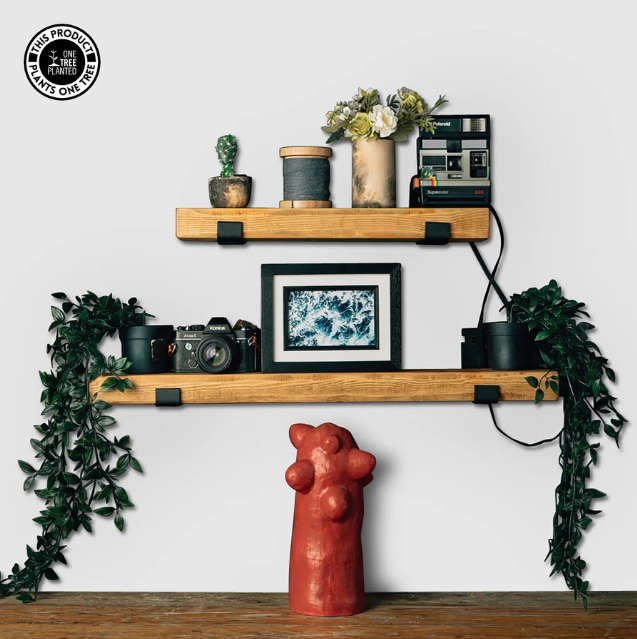 Choose Style and Function with Rustic Shelves