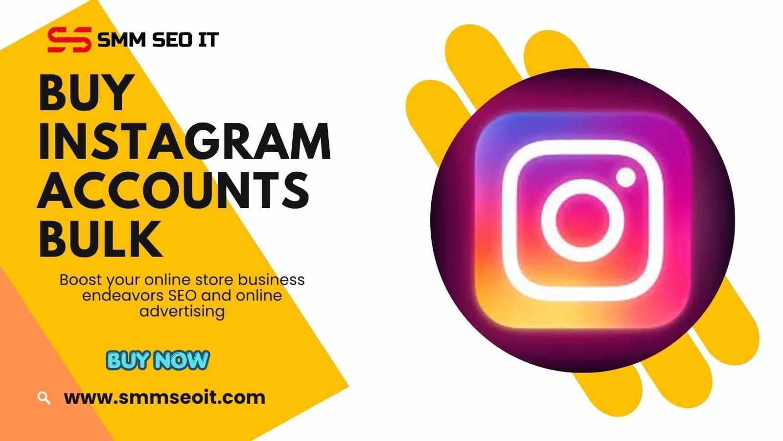 Buying Instagram Accounts in Bulk: What You Need to Know