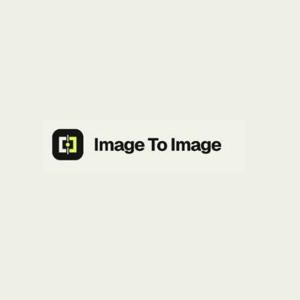 Image to Image logo