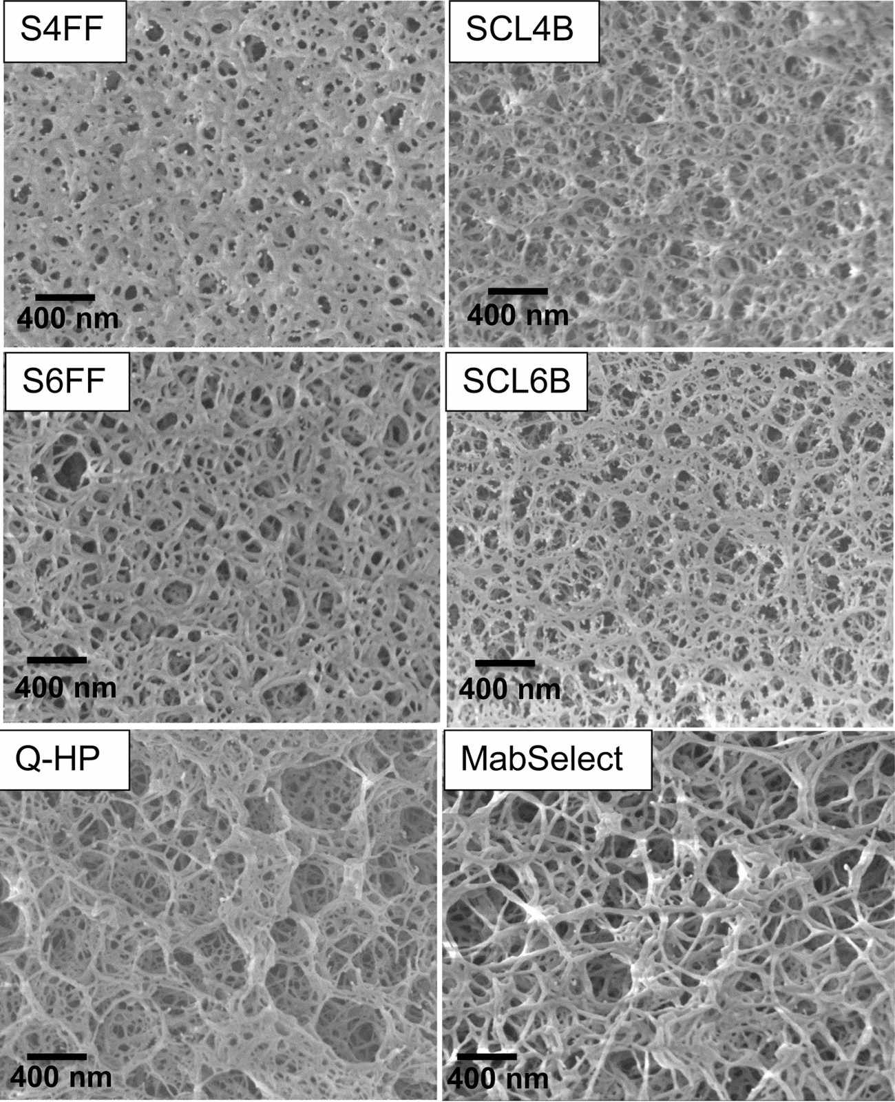 Functional Agarose Particles for Biomedical Research Applications