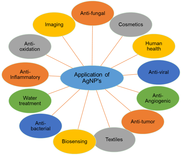 Endotoxin Free Silver Nanoparticles for Advanced Biomedical Research