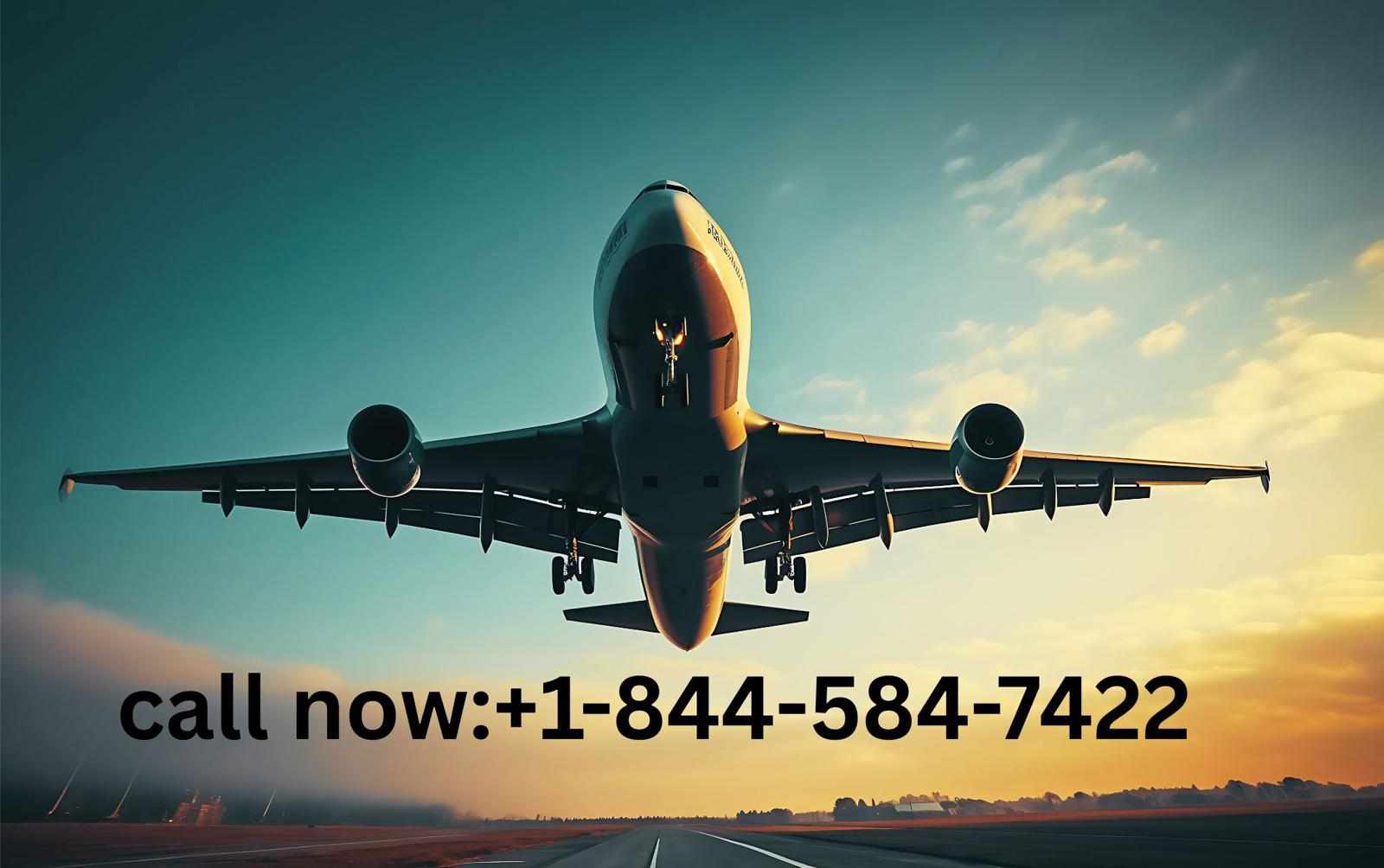 ¿Cómo Hablar con una Persona Real en Delta Airlines? Guía Rápida ?