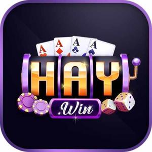 haywin3 logo