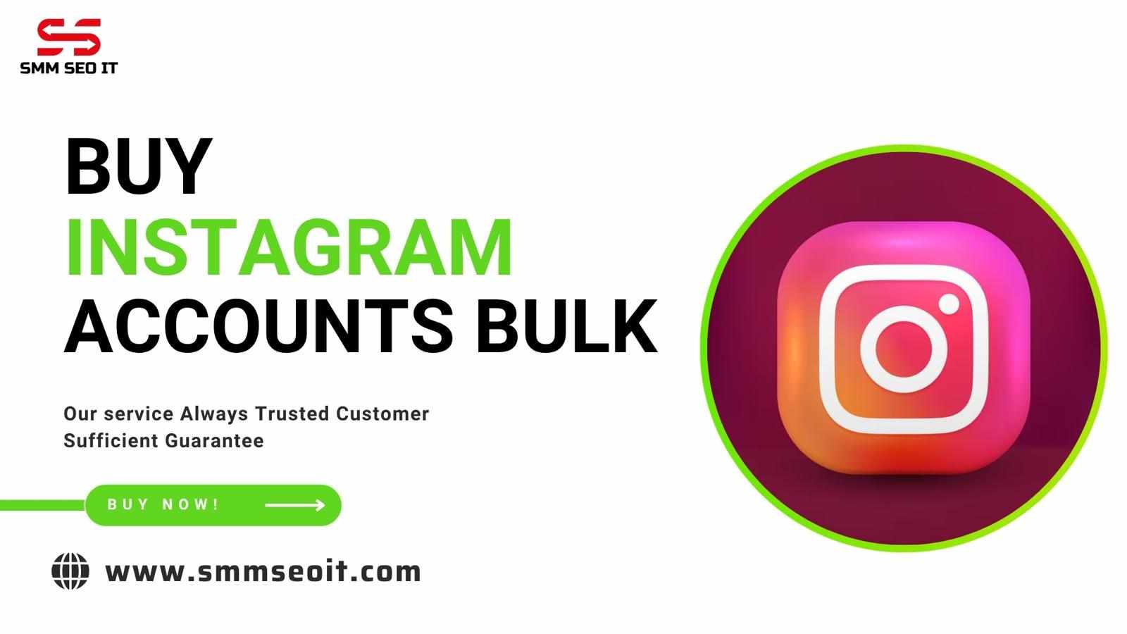 Buy Best Instagram Accounts in Bulk Today