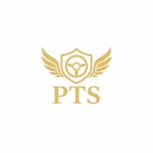 priyanshitravelstempo logo