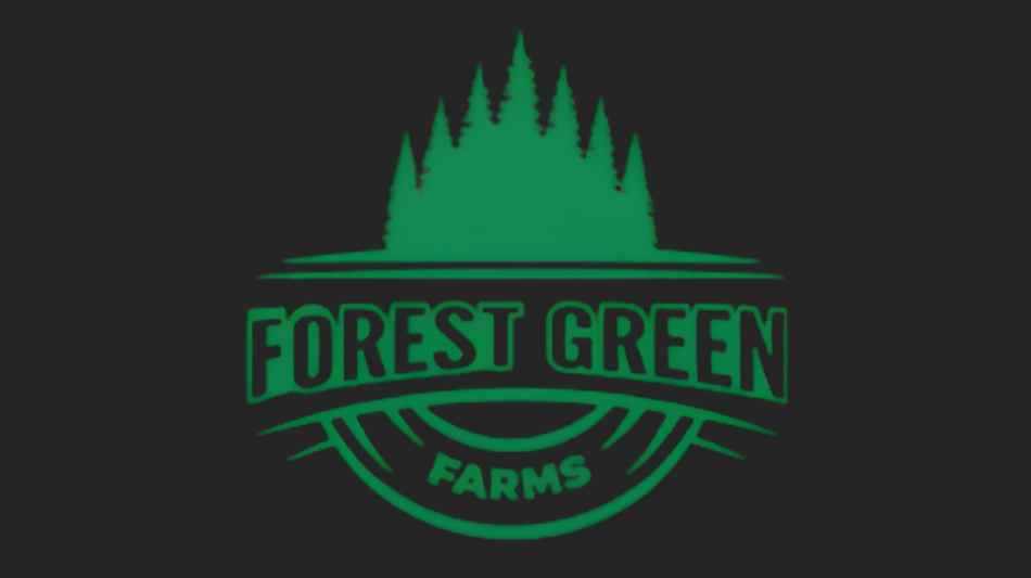 Forest Green Farms Gummies USA Review 2026: Understanding the Formula, Quality, Composition, and Benefits
