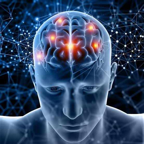 Memo Honey Memory Support – Support Your Memory Naturally